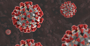 কি‌শোরগ‌ঞ্জে আবারও বাড়ছে ক‌রোনা আক্রা‌ন্তের সংখ্যা