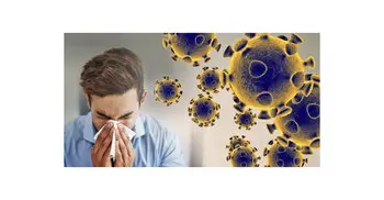 Coronavirus: Chinese villages shun outsiders