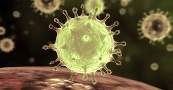 হবিগঞ্জে প্রকাশ্যে ঘুরছেন বিদেশফেরতরা