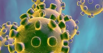 Journalist dies of coronavirus