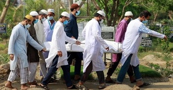 Two Covid deaths, 572 cases recorded in 24 hrs