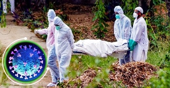 Covid-19: Fresh deaths 28, cases 1354