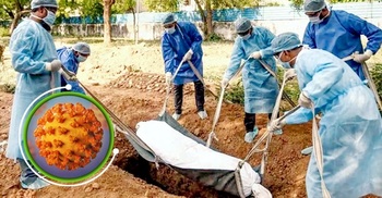 Covid-19 in Bangladesh: New deaths 7, cases 619