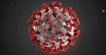 Coronavirus: US cases ‘may have topped 20 million’