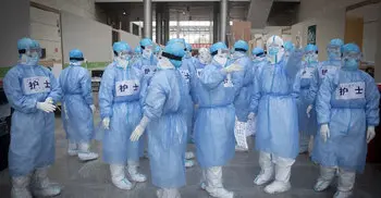 Coronavirus claims 244 lives in a single day