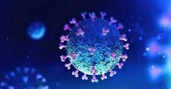 Seven factory workers catch coronavirus