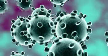 Taiwan confirms first coronavirus death on island
