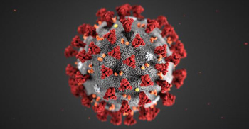 Global coronavirus cases exceed 28.3m: JHU