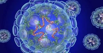 Barguna locked down as virus cases keep rising
