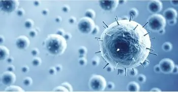 11-month-old contracts coronavirus in Manikganj