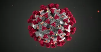 Coronavirus deaths in Bangladesh near 200