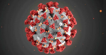 New COVID-19 strain found in Bangladesh, says BCSIR