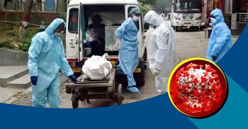 Coronavirus: 24 die in 24 hours