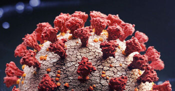 How Covid virus uses body’s fat cells to replicate