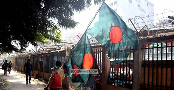 বিজয়ের দিনে লাল-সবুজের ফেরিওয়ালা