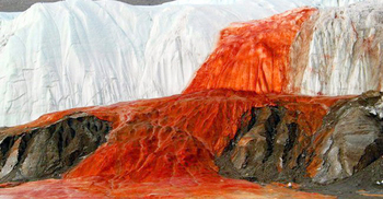 রহস্যময়ভাবে গড়িয়ে পড়ছে রক্তের স্রোতধারা!