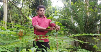 বেতনের টাকায় ৭ বছরে ৭০০০ গাছ লাগিয়েছেন আনোয়ার হোসেন