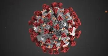 Coronavirus disease named Covid-19