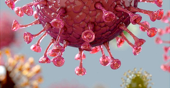 Covid: Woman aged 90 died with double variant infection