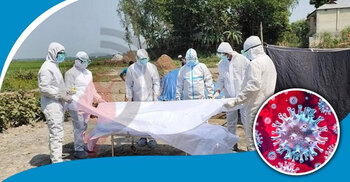 Coronavirus: 16 die, 369 infected, 447 recover in 24 hours