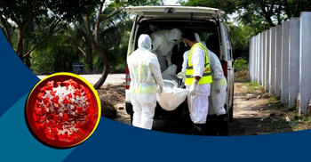 COVID-19: 16 die, 316 infected, 559 recover in 24 hours