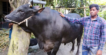 ‘কালো পাহাড়’ নিয়ে দুশ্চিন্তায় মালিক