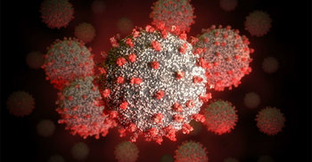 লক্ষ্মীপুরে একদিনেই আক্রান্ত ১৭ জন!