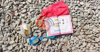 3 school girls killed after being hit by train