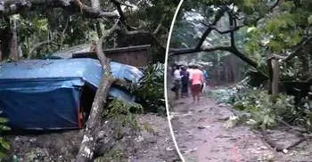 Cyclone ‘Bulbul’: Sexagenarian dies after tree falls on house