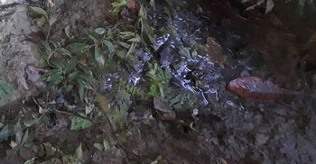 অপহরণের ১৩ দিন পর পাহাড়ে মিলল যুবকের হাত বাঁধা লাশ