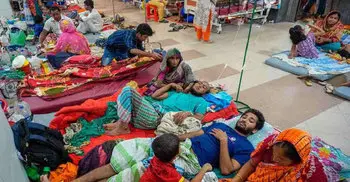 Three dengue patients hospitalised in 24 hours