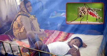 Now dengue to increase risk of death