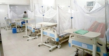 131 more hospitalized with dengue fever in 24 hrs