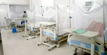13 dengue patients hospitalized in 24 hrs