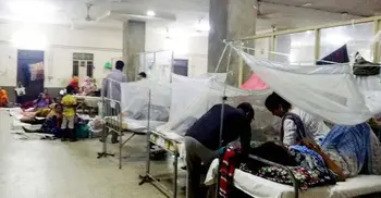 14 dengue patients hospitalized in 24 hrs