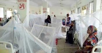 105 more hospitalized with dengue fever in 24 hrs