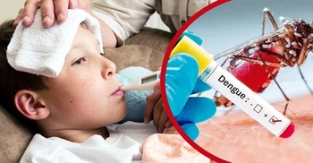146 more hospitalized with dengue fever in 24 hrs