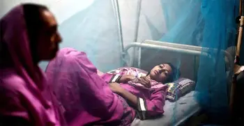 Nine dengue patients die; 882 hospitalized in 24 hrs