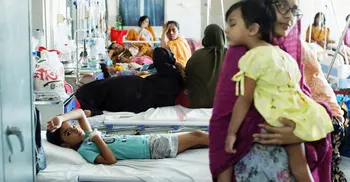 Four dengue patients die; 1094 hospitalized in 24 hrs