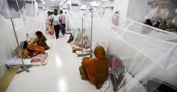 One dengue patient dies, 399 hospitalized in 24 hrs