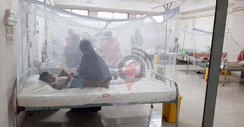 5 dengue patients die, 873 hospitalized in 24 hrs