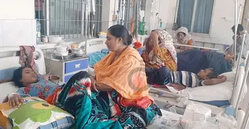 3 dengue patients die, 760 hospitalized in 24 hrs