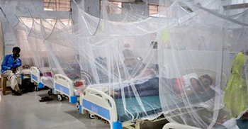 13 dengue patients hospitalised in 24 hrs