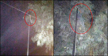 বেলকুচি স্বাস্থ্য কমপ্লেক্সে রাতেও উড়ছে জাতীয় পতাকা