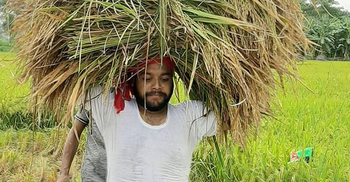 রোজা রেখে কৃষকের ধান কেটে দিলেন স্বেচ্ছাসেবক লীগ নেতাকর্মীরা