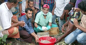 আইলে কোপ দিতেই বেরিয়ে এল বিষধর সাপের ৬০টি ডিম