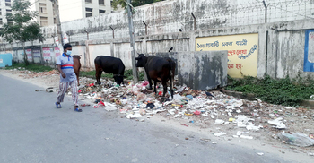দিনাজপুর যেন ‘আবর্জনার শহর’