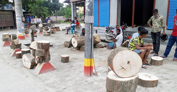 কোরবানি উপলক্ষে দিনাজপুরে বেড়েছে ‘খাটিয়া’ বিক্রি