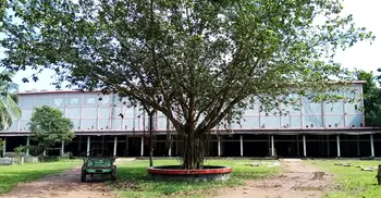 কোল্ডস্টোরেজ-পল্লী বিদ্যুতের ঝামেলায় পচছে ২২ কোটি টাকার আলু