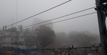 ফাগুনের সকালে হঠাৎ শীতের কুয়াশা